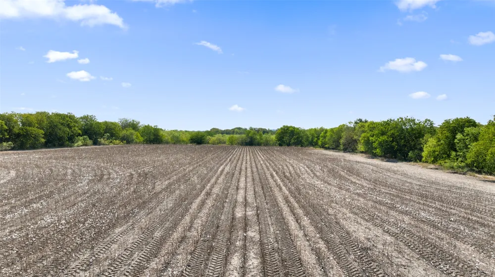 Rd Kyle, TX 78640