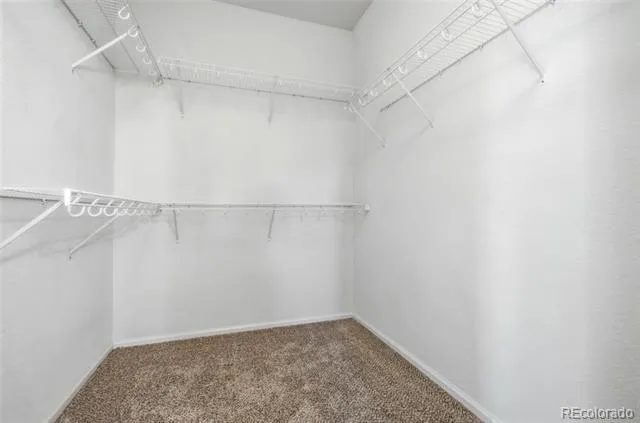 104 Whitehaven Circle Littleton, CO 80129