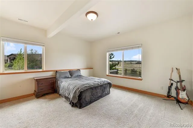 20439 Taversham Court Monument, CO 80132