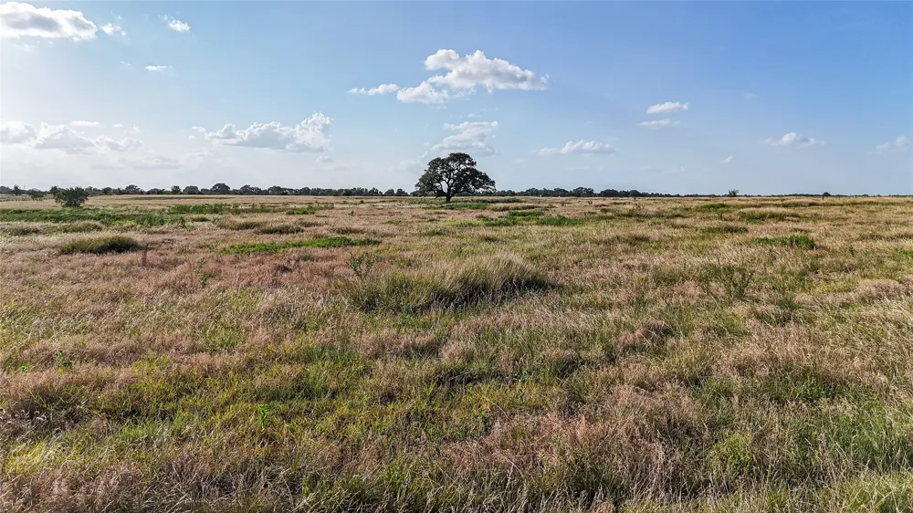 2171 E Highway 237 Round Top, TX 78954