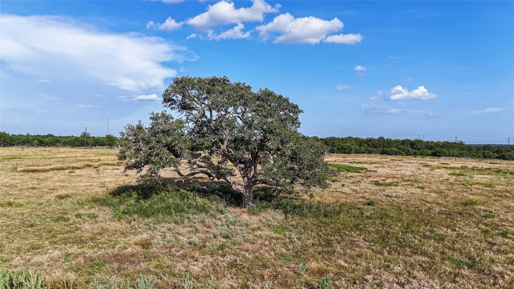 2171 E Highway 237 Round Top, TX 78954