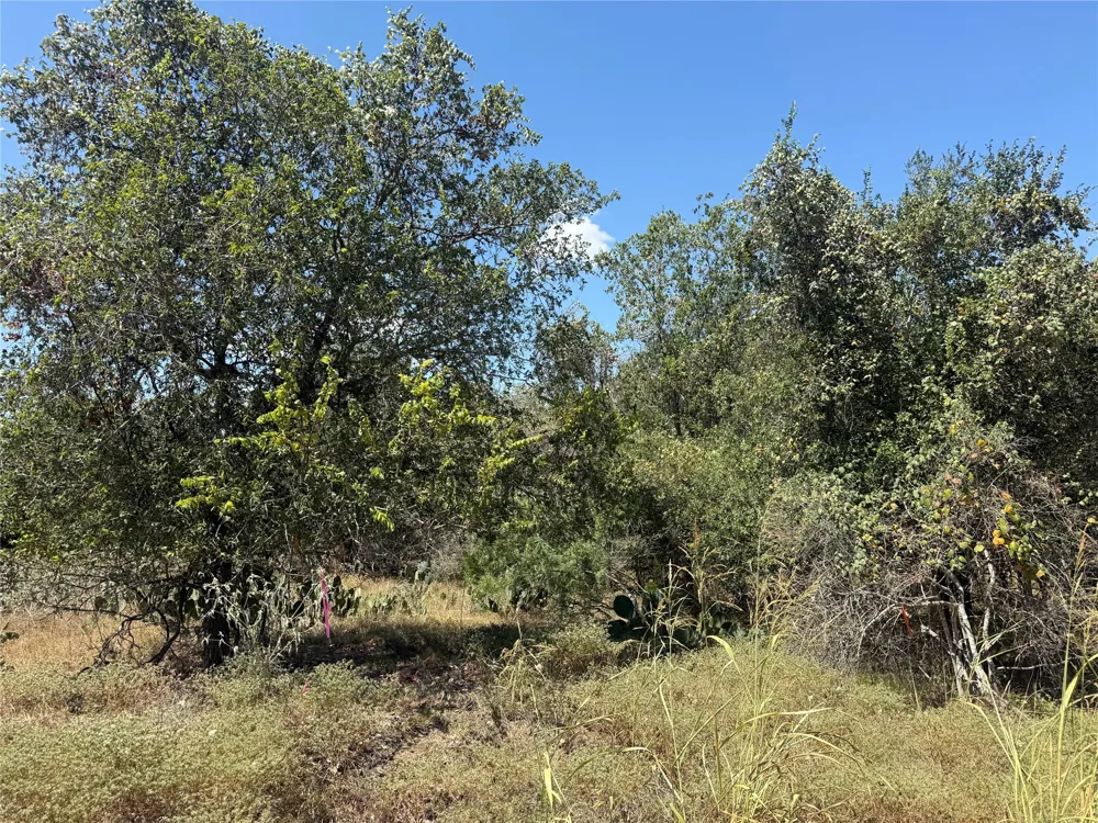 Kawainui Lane Bastrop, TX 78602