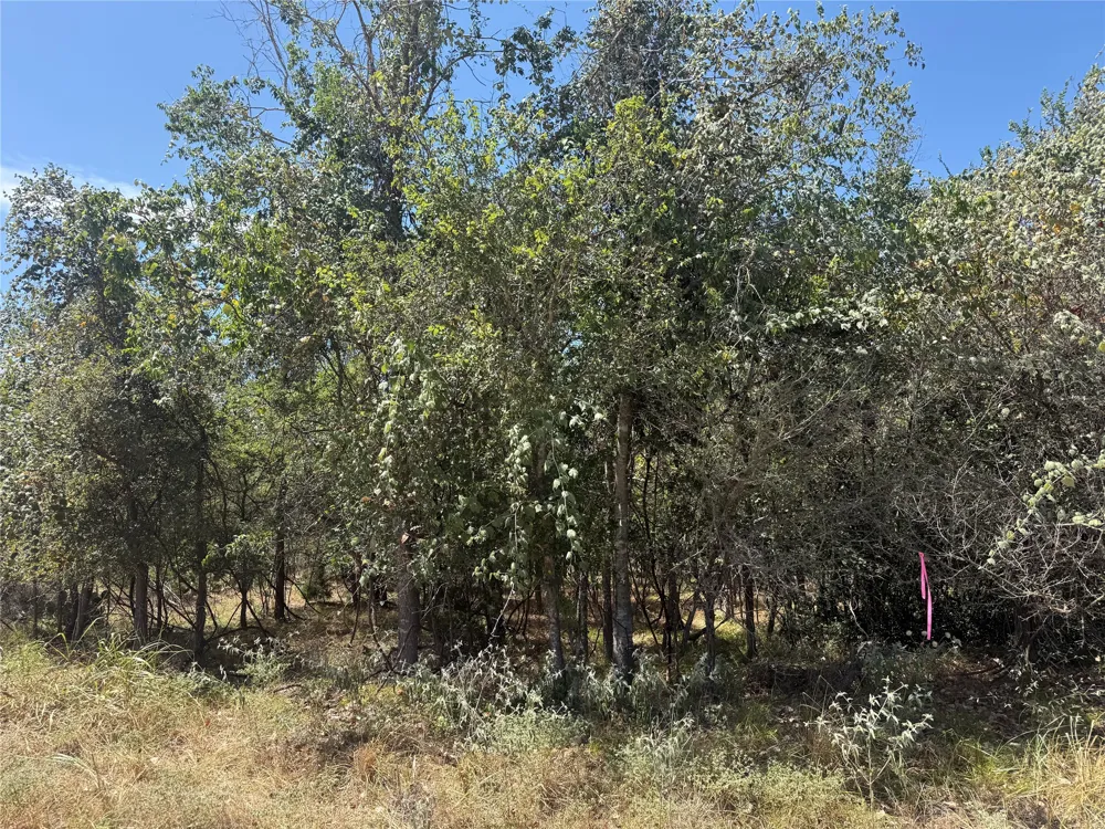 Kawainui Lane Bastrop, TX 78602