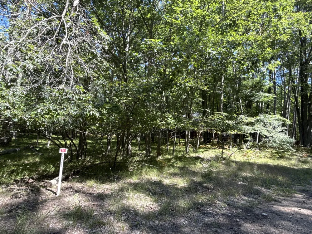 12060 Chinook Drive #408 Stanwood, MI 49346