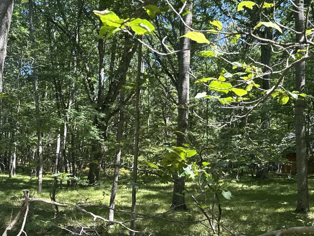 12060 Chinook Drive #408 Stanwood, MI 49346