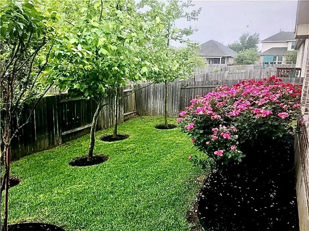 1817 Greyleaf Path Round Rock, TX 78665