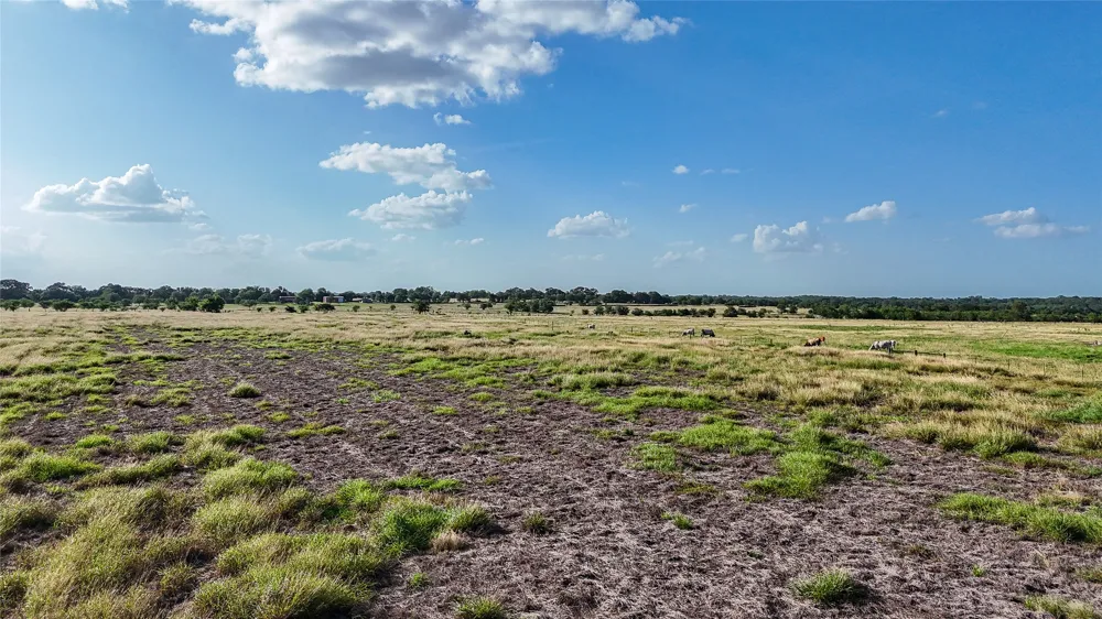 2179 E Highway 237 Round Top, TX 78954