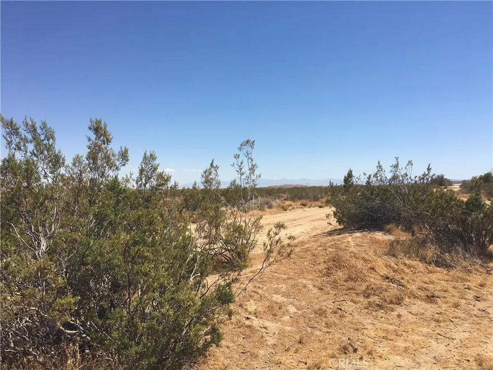W 25th Street Mojave, CA 93501