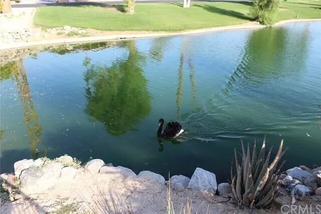 74711 Dillon Road ##770 Desert Hot Springs, CA 92241