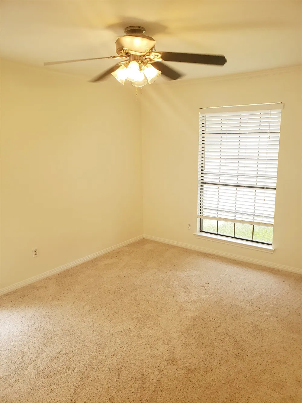 404 Oakridge Pass Cedar Park, TX 78613