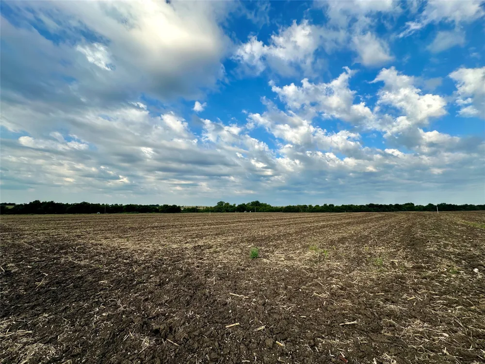 4 County Road 320 Granger, TX 76530