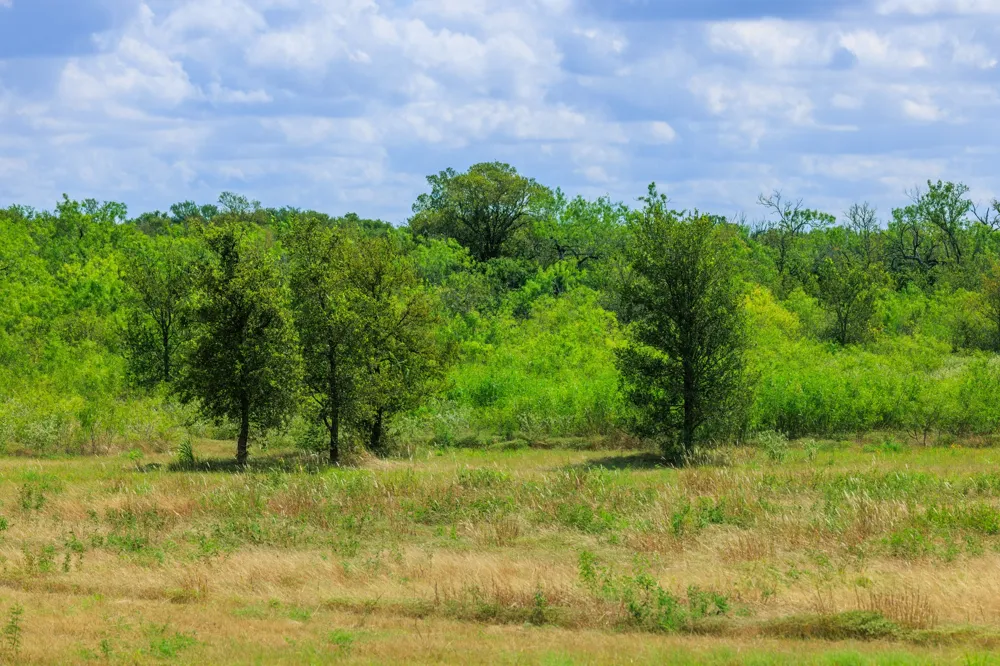 8804 Williamson Road Kyle, TX 78640