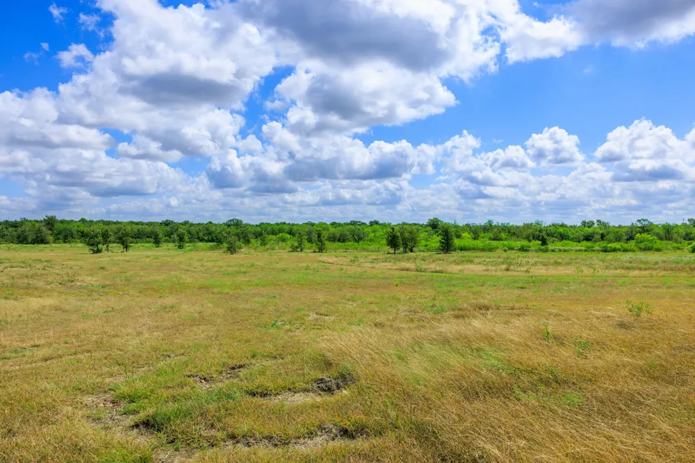 8804 Williamson Road Kyle, TX 78640