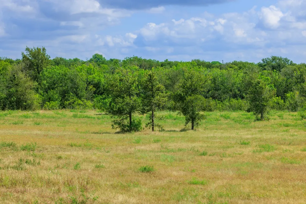 8804 Williamson Road Kyle, TX 78640