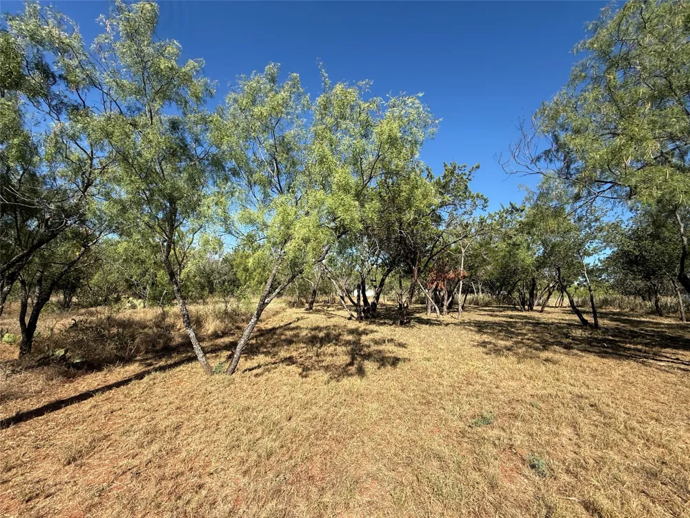 496 Driftwood Lane Cottonwood Shores, TX 78657