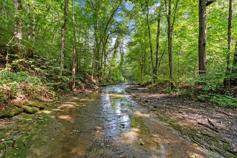 599 Jake Rockwell Rd