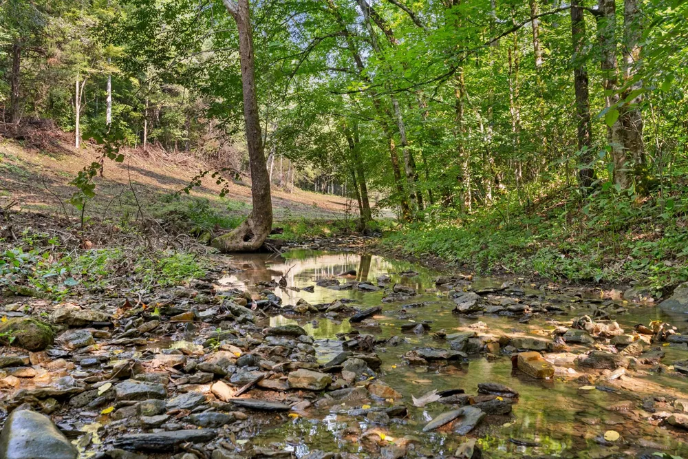 599 Jake Rockwell Rd Celina, TN 38551