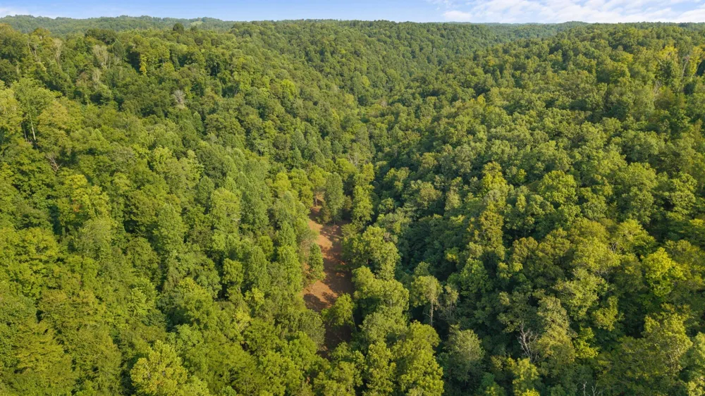 599 Jake Rockwell Rd Celina, TN 38551