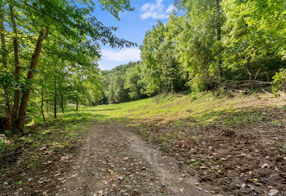 599 Jake Rockwell Rd Celina, TN 38551