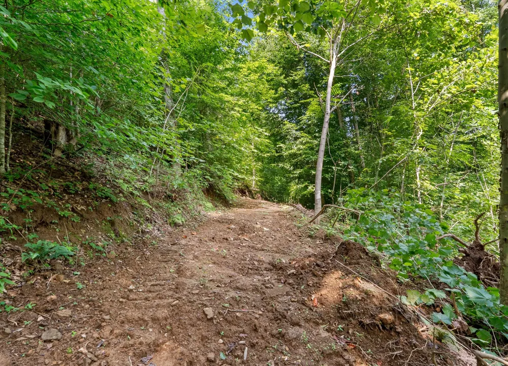 599 Jake Rockwell Rd Celina, TN 38551
