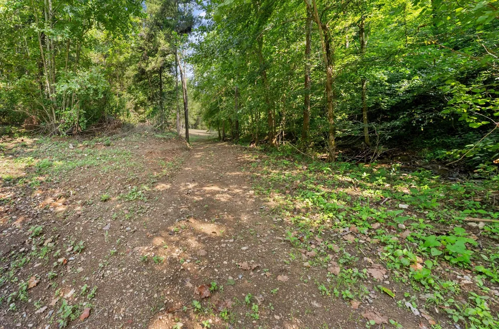 599 Jake Rockwell Rd Celina, TN 38551