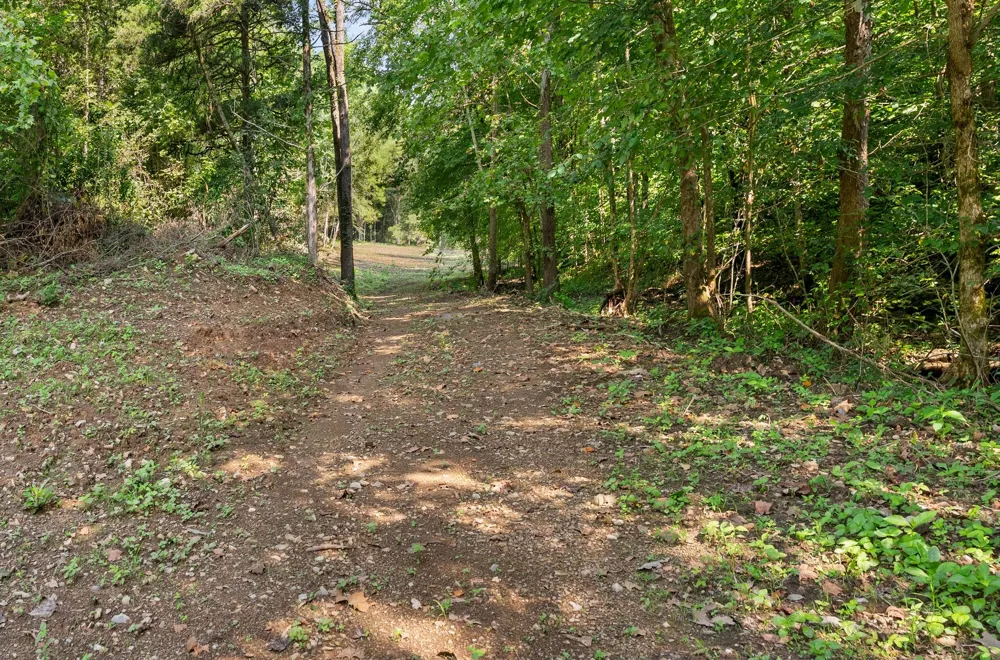 599 Jake Rockwell Rd Celina, TN 38551