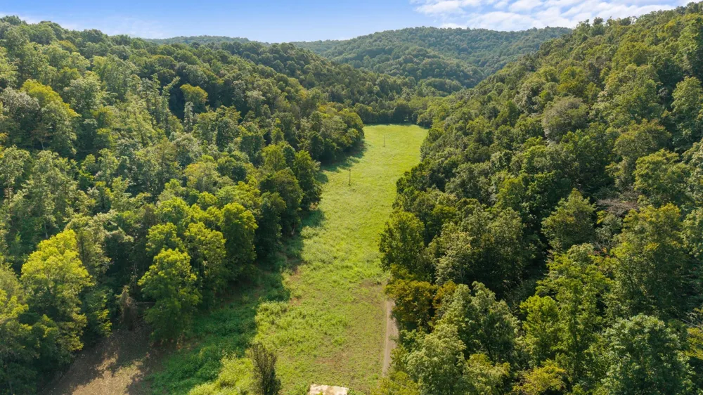 599 Jake Rockwell Rd Celina, TN 38551