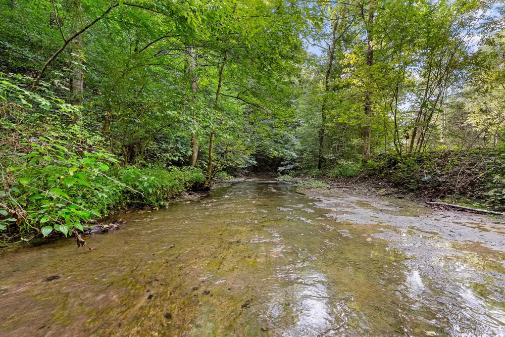 599 Jake Rockwell Rd Celina, TN 38551