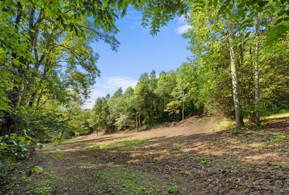 599 Jake Rockwell Rd Celina, TN 38551