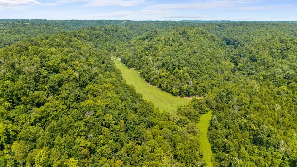 599 Jake Rockwell Rd Celina, TN 38551