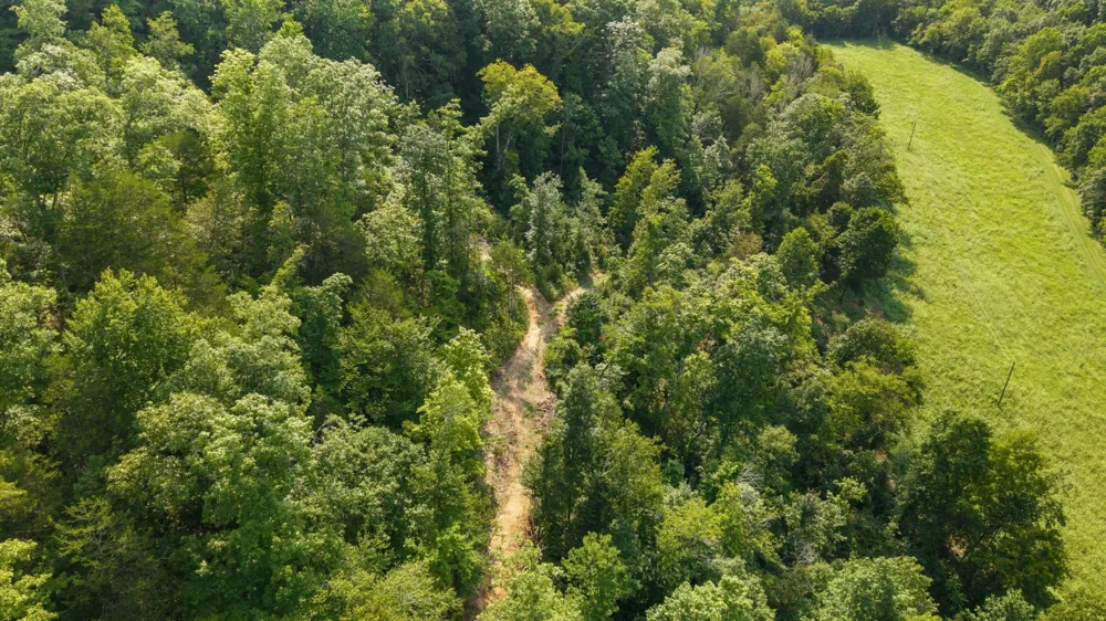 599 Jake Rockwell Rd Celina, TN 38551