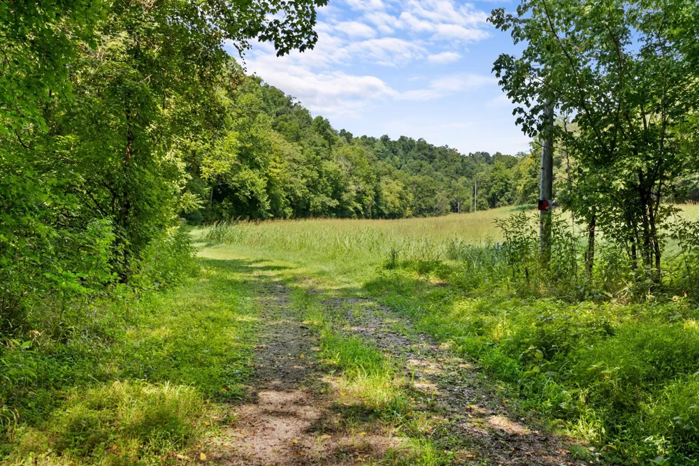 599 Jake Rockwell Rd Celina, TN 38551