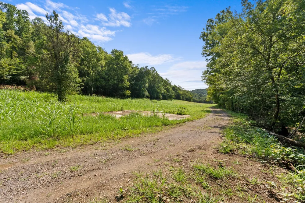 599 Jake Rockwell Rd Celina, TN 38551