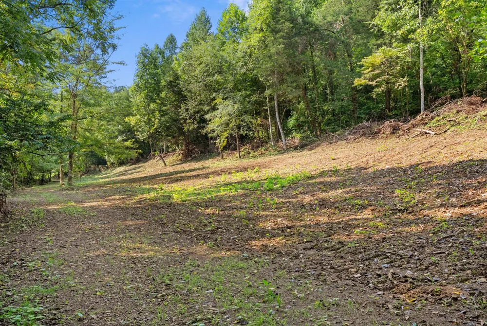 599 Jake Rockwell Rd Celina, TN 38551