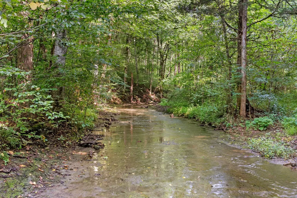599 Jake Rockwell Rd Celina, TN 38551