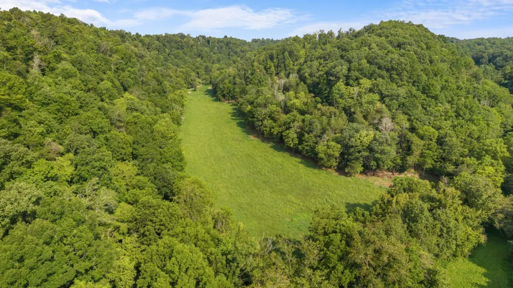 599 Jake Rockwell Rd Celina, TN 38551