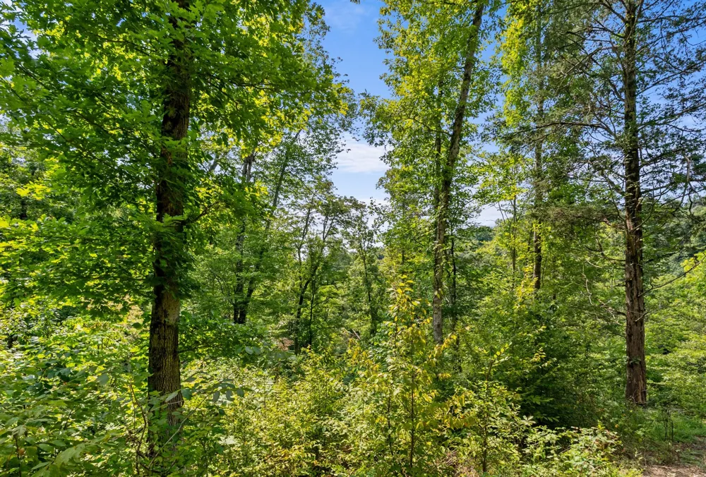 599 Jake Rockwell Rd Celina, TN 38551