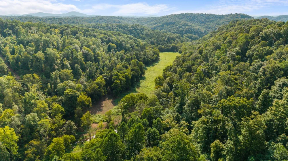 599 Jake Rockwell Rd Celina, TN 38551