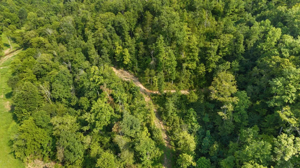 599 Jake Rockwell Rd Celina, TN 38551