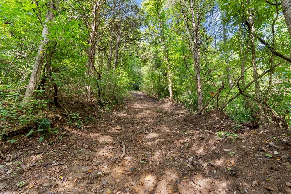 599 Jake Rockwell Rd Celina, TN 38551