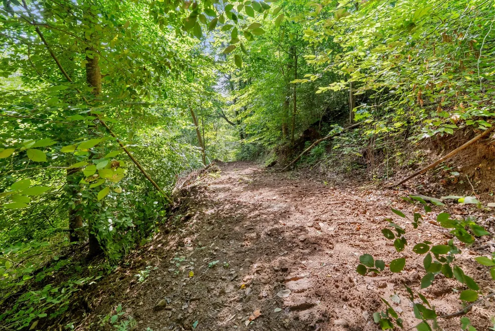 599 Jake Rockwell Rd Celina, TN 38551