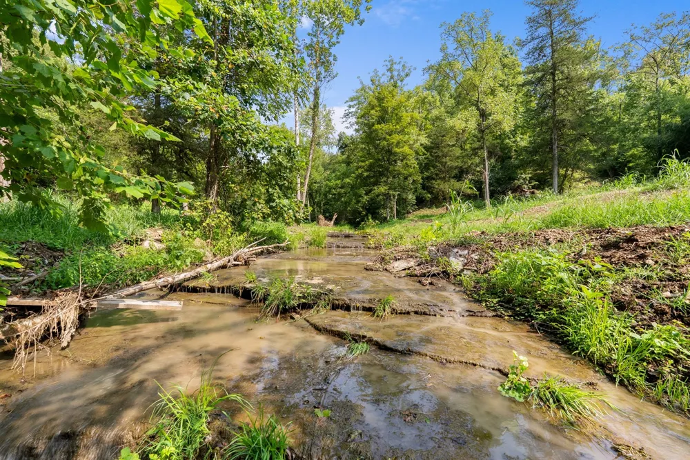 599 Jake Rockwell Rd Celina, TN 38551
