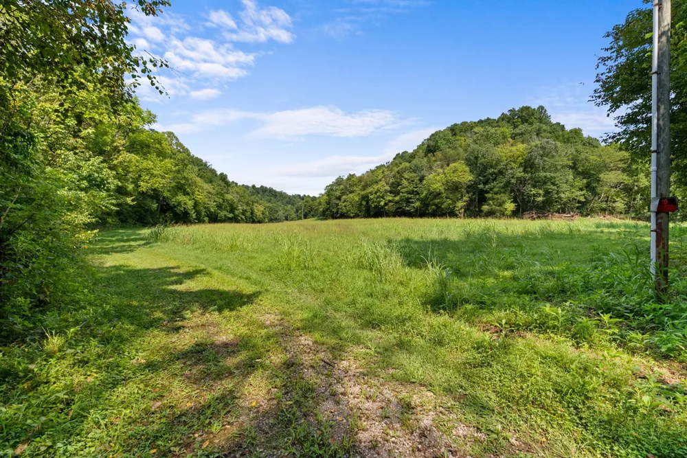 599 Jake Rockwell Rd Celina, TN 38551
