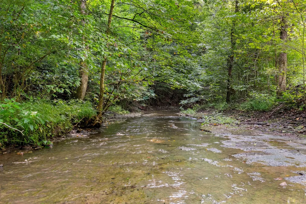 599 Jake Rockwell Rd Celina, TN 38551