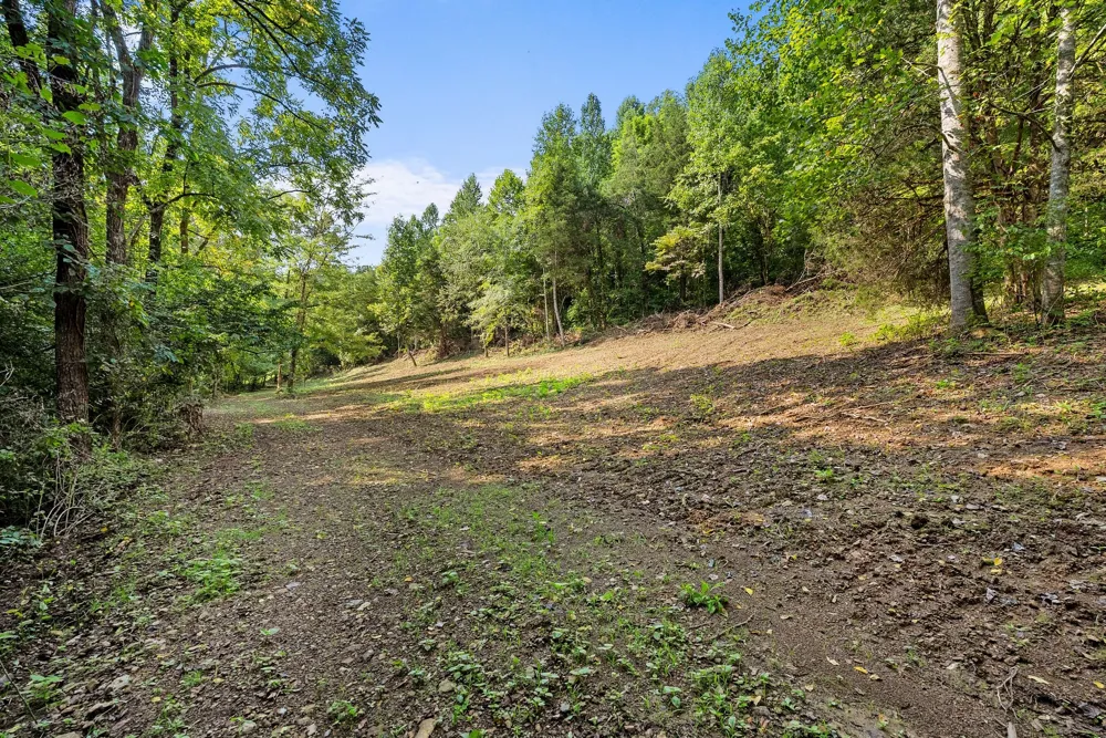 599 Jake Rockwell Rd Celina, TN 38551