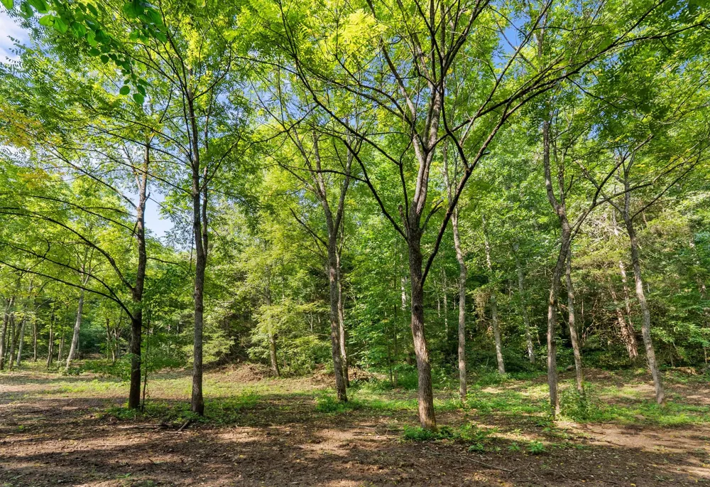 599 Jake Rockwell Rd Celina, TN 38551
