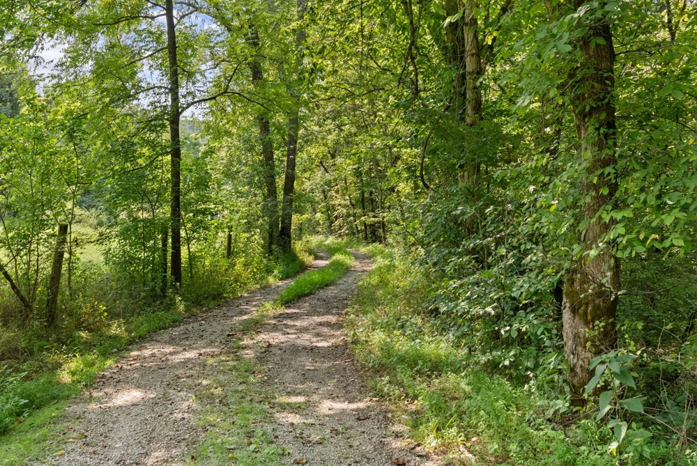 599 Jake Rockwell Rd Celina, TN 38551