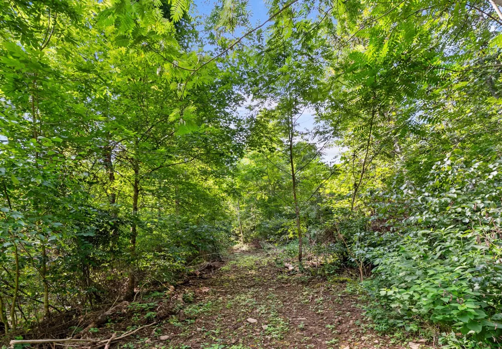 599 Jake Rockwell Rd Celina, TN 38551