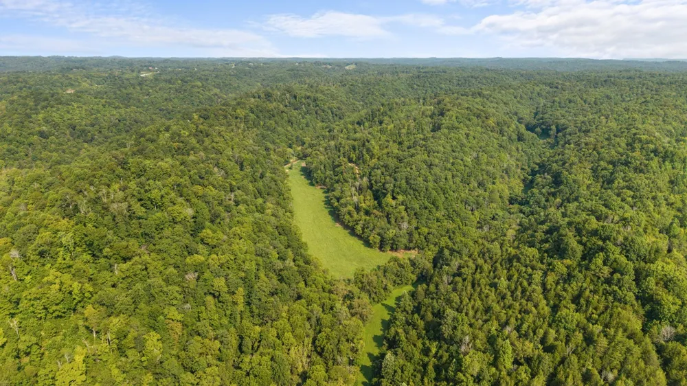 599 Jake Rockwell Rd Celina, TN 38551