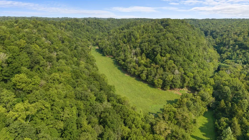 599 Jake Rockwell Rd Celina, TN 38551